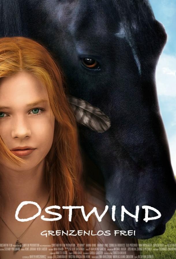 Фильм Оствинд / Восточный ветер 2013 смотреть онлайн